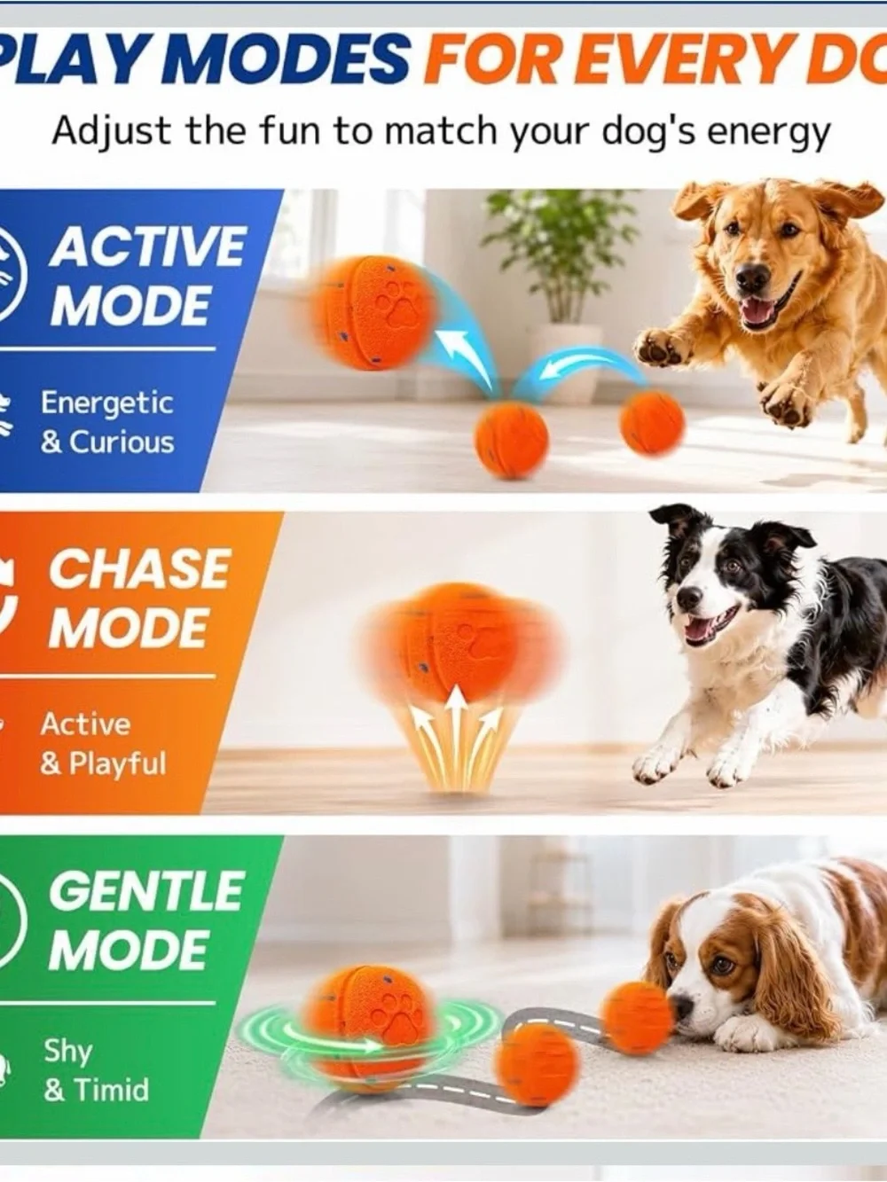 Smart dog toy